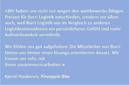 Statement von Pineapple Bikes